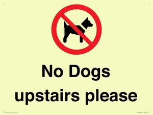 No Dogs upstairs please 